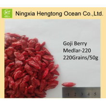 Venta caliente de Hierbas Frescas Chinses Goji Berry con Gran Precio